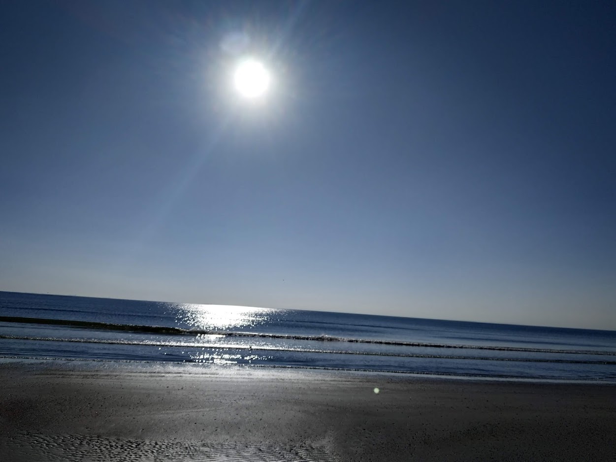 galveston 1.jpg