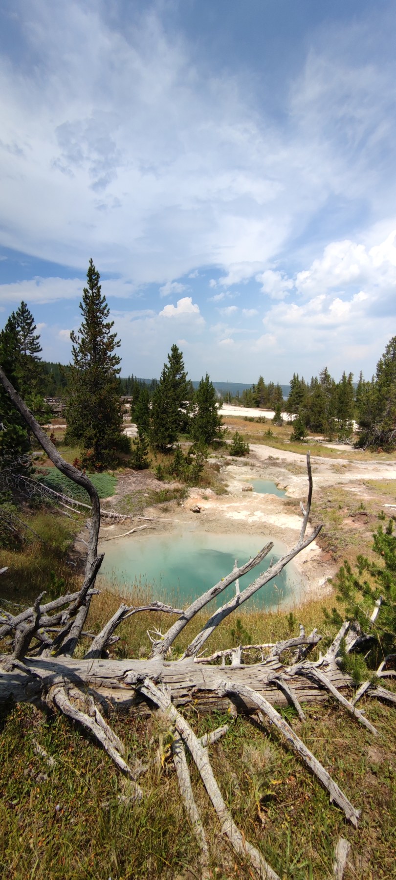 Roadtrip juillet 2021 - Piscine turquoise dans le parc