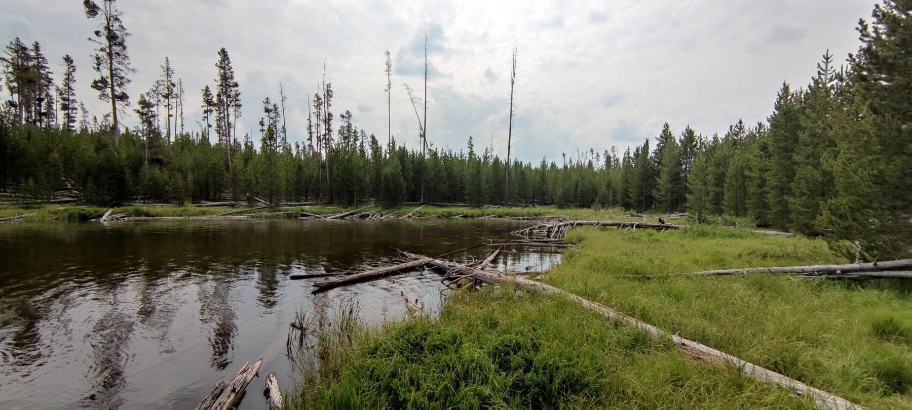 Roadtrip juillet 2021 - Lac entouré de forêt dense, USA
