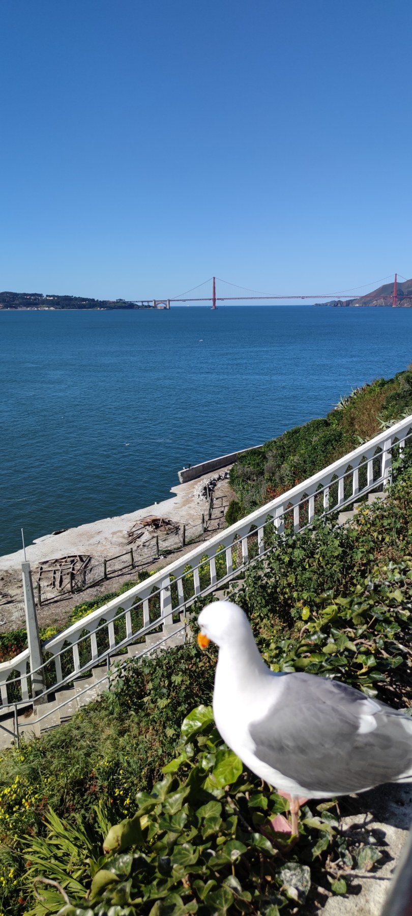 Vue du Golden Gate Bridge depuis Lands End, San Francisco