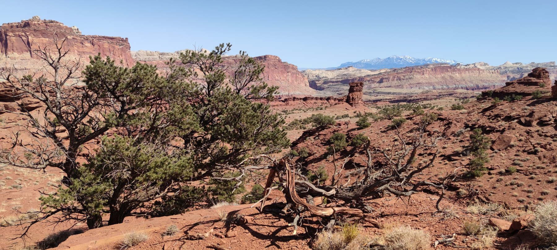 Canyon rouge du Colorado, vue panoramique