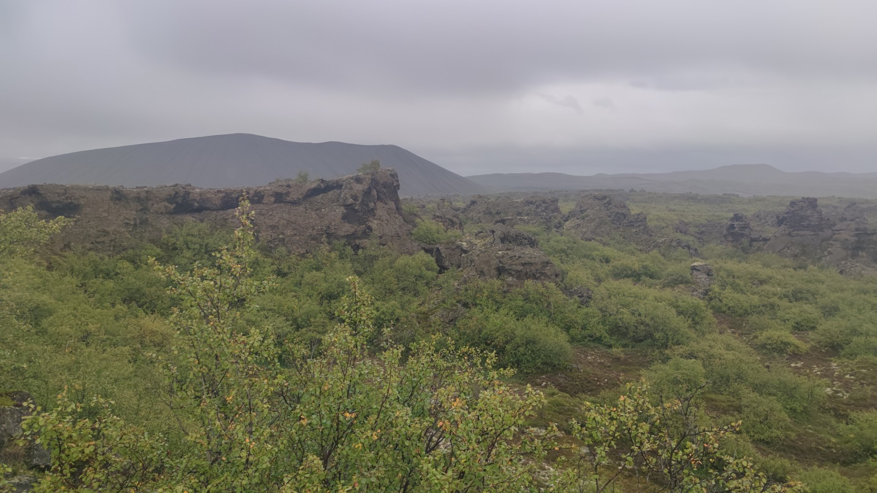 Volcan et forêt islandaise