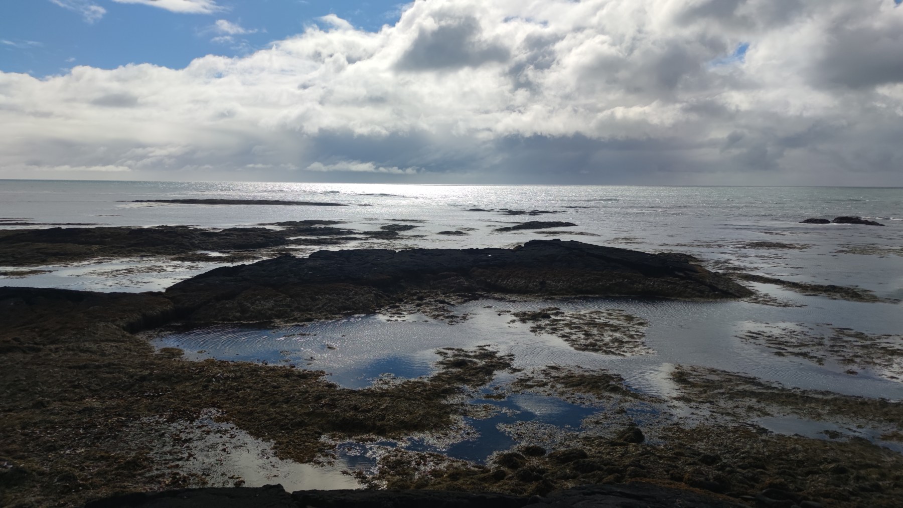 Côte volcanique islandaise