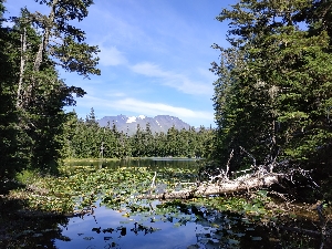 Lac Bear Creek, Montagnes Alaskaines Lac Bear Creek, Montagnes Alaskaines