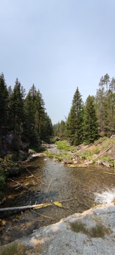 Roadtrip juillet 2021 - Rivière dans la forêt de pins, USA Roadtrip juillet 2021 - Rivière dans la forêt de pins, USA