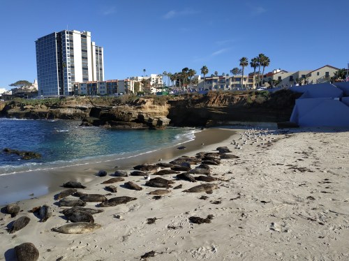 Childrens Pool Observation Walkway, San Diego