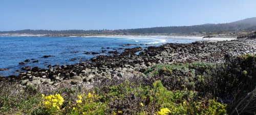 Plage de Pfeiffer Big Sur, Californie Plage de Pfeiffer Big Sur, Californie
