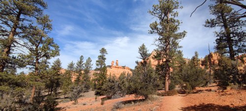 Chutes de l'Arbre, Bryce Canyon National Park, Utah