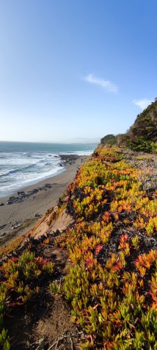 Plage de Big Sur, Californie