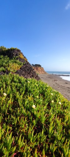 Plage de Big Sur, Californie