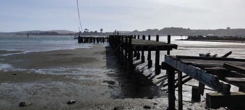 Quai en bois à marée basse, Porto Bodega Marina