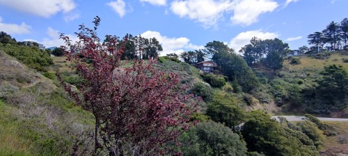 Collines de San Francisco, Californie