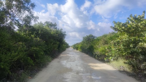 Route sauvage du Golfe du Mexique